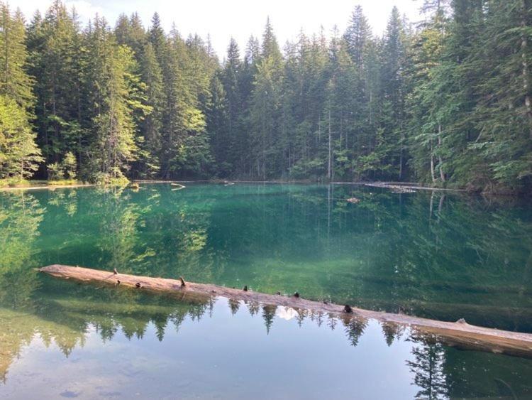 Fewo Berk Kuhnburg エクステリア 写真